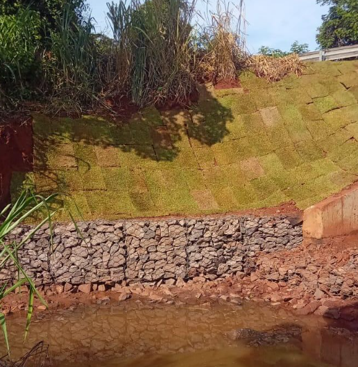 Recuperação de Erosão